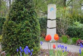 Garten der Sternenkinder