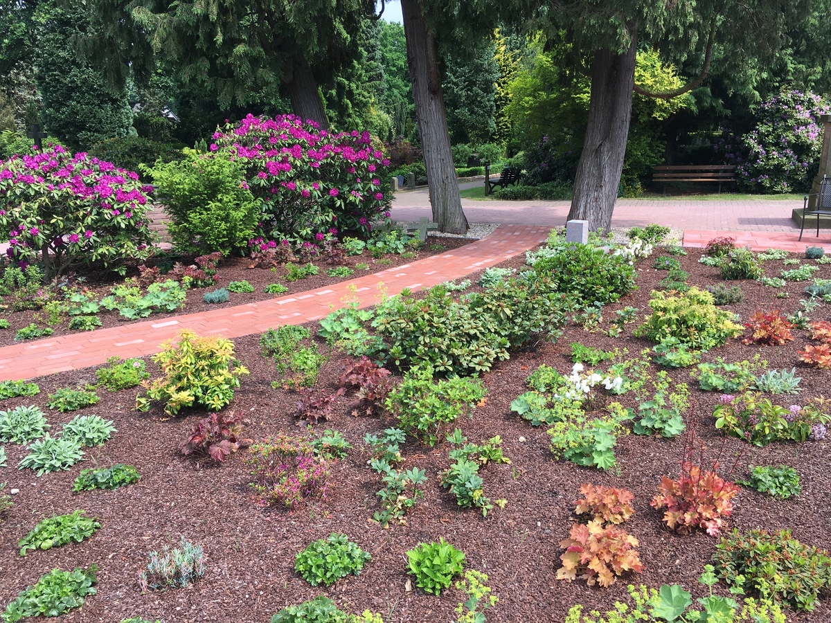 Rhododendron-Garten