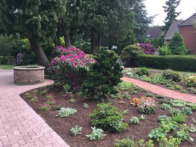 Rhododendron-Garten