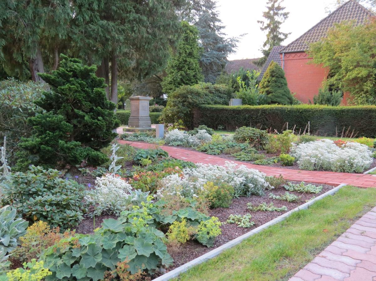 Rhododendron-Garten