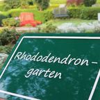 Rhododendron-Garten